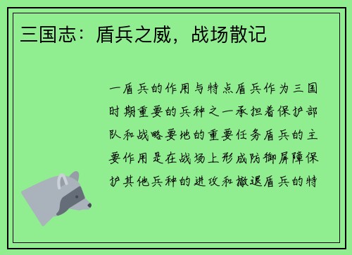 三国志：盾兵之威，战场散记